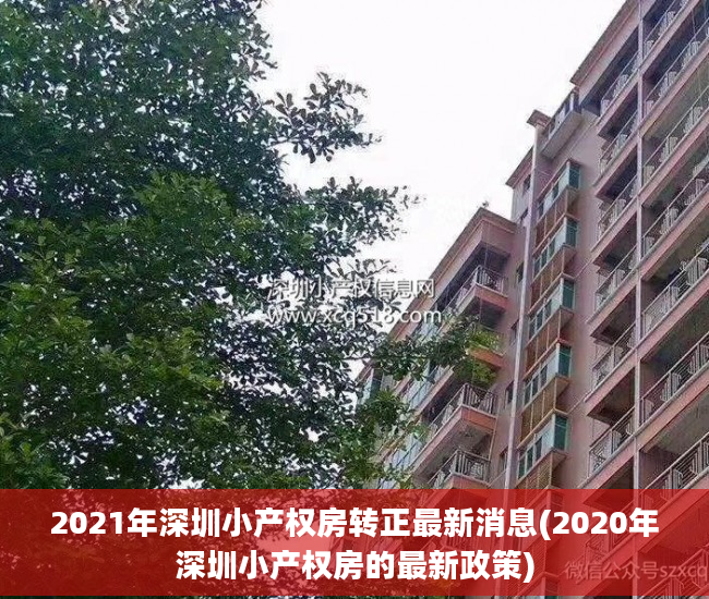 2021年深圳小产权房转正最新消息(2020年深圳小产权房的最新政策)