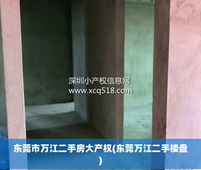 东莞市万江二手房大产权(东莞万江二手楼盘)