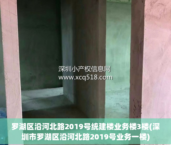 罗湖区沿河北路2019号统建楼业务楼3楼(深圳市罗湖区沿河北路2019号业务一楼)