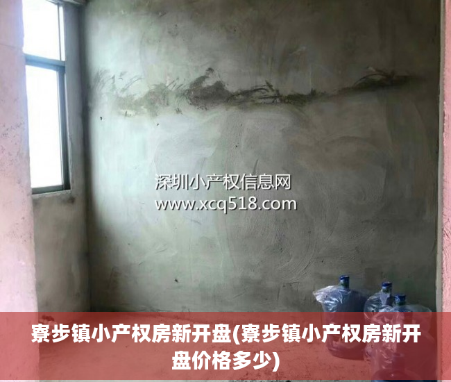 寮步镇小产权房新开盘(寮步镇小产权房新开盘价格多少)