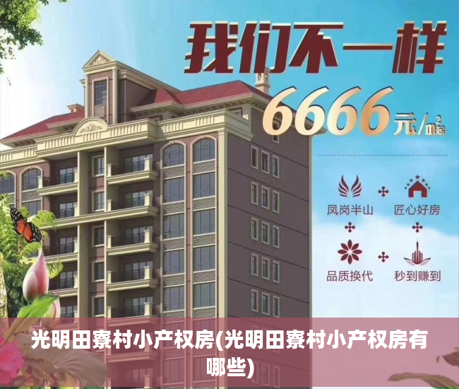 光明田寮村小产权房(光明田寮村小产权房有哪些)