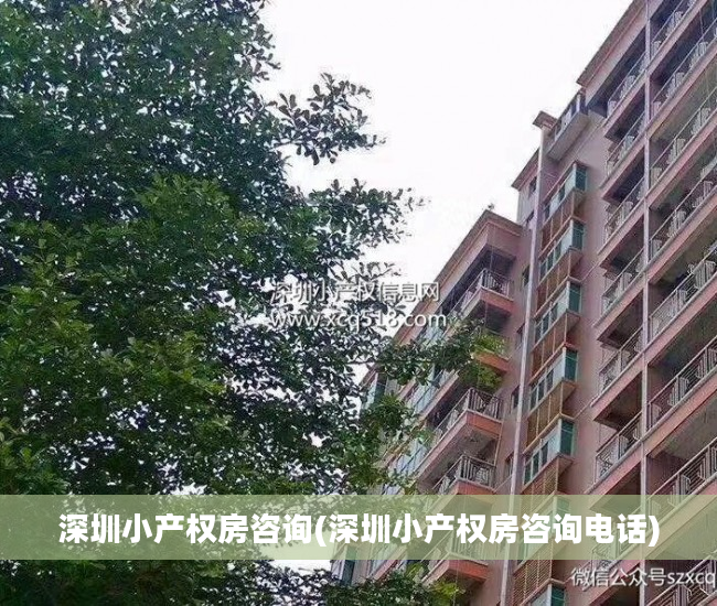 深圳小产权房咨询(深圳小产权房咨询电话)