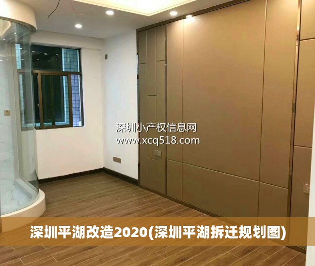 深圳平湖改造2020(深圳平湖拆迁规划图)