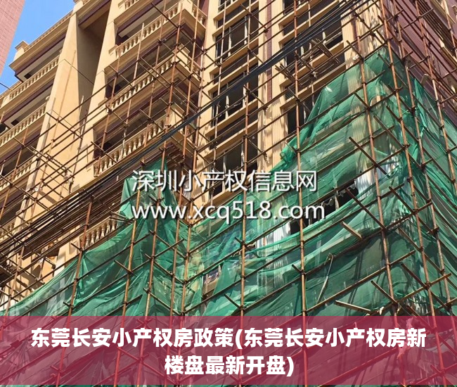 东莞长安小产权房政策(东莞长安小产权房新楼盘最新开盘)