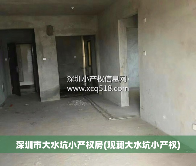 深圳市大水坑小产权房(观澜大水坑小产权)