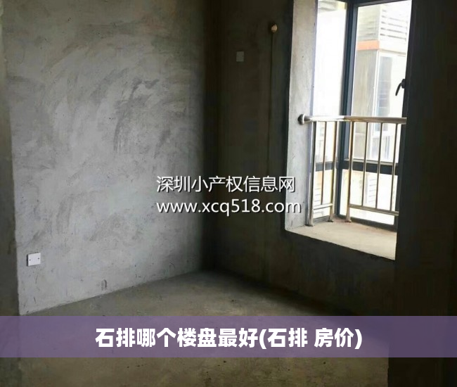 石排哪个楼盘最好(石排 房价)