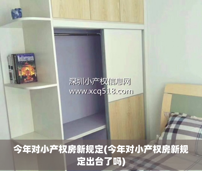 今年对小产权房新规定(今年对小产权房新规定出台了吗)