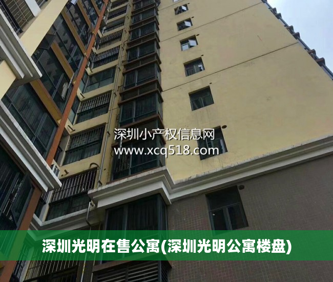 深圳光明在售公寓(深圳光明公寓楼盘)