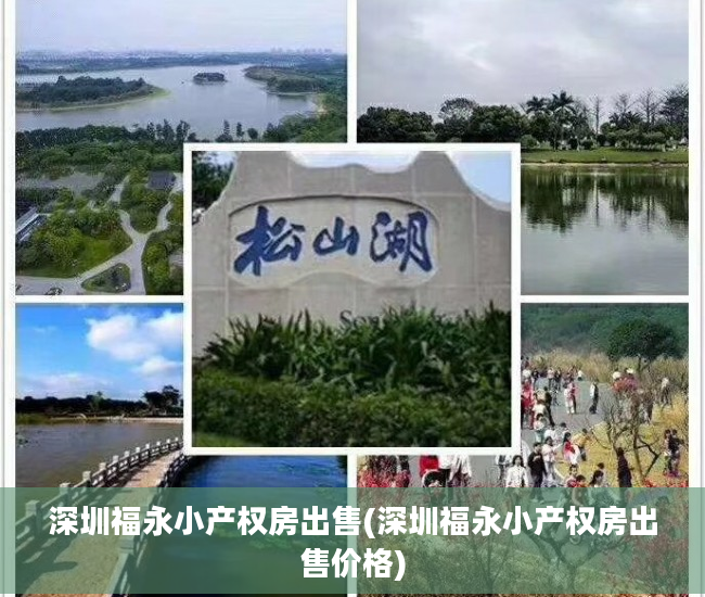 深圳福永小产权房出售(深圳福永小产权房出售价格)