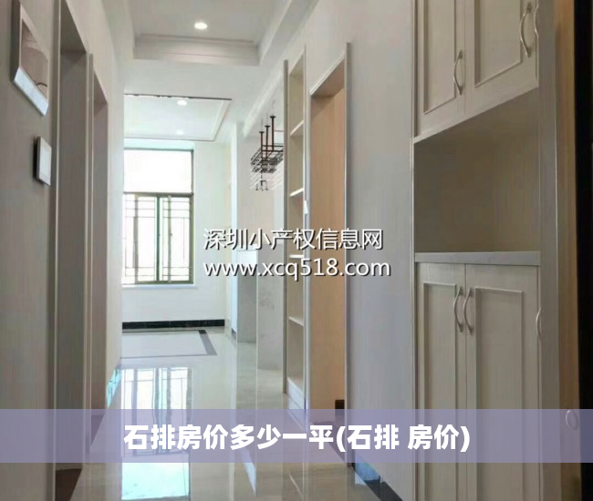 石排房价多少一平(石排 房价)