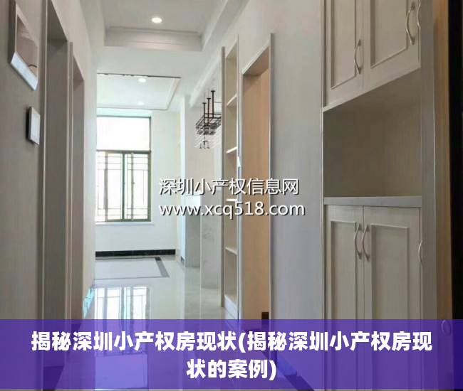 揭秘深圳小产权房现状(揭秘深圳小产权房现状的案例)