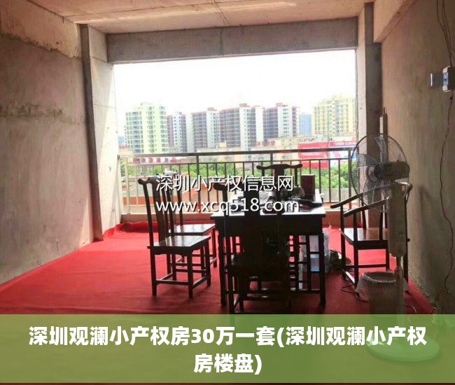 深圳观澜小产权房30万一套(深圳观澜小产权房楼盘)