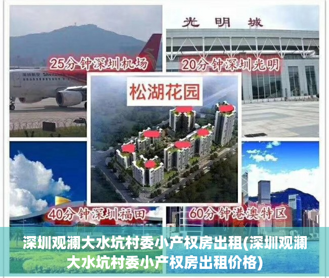 深圳观澜大水坑村委小产权房出租(深圳观澜大水坑村委小产权房出租价格)
