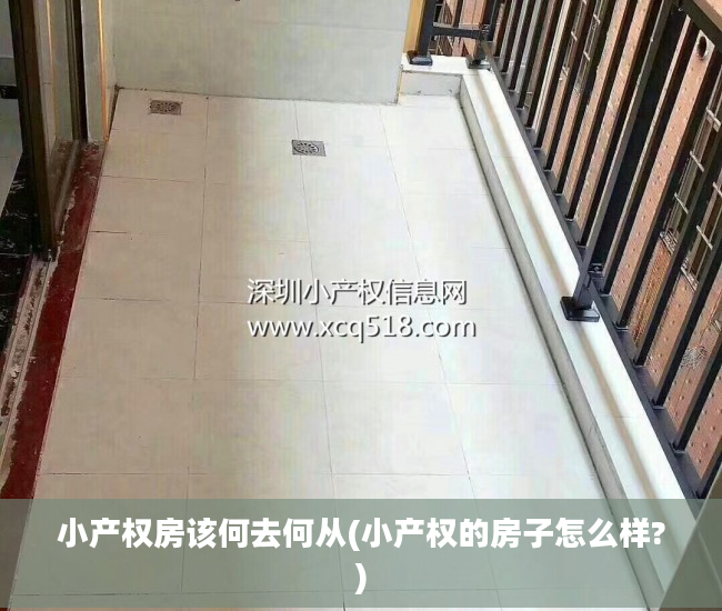 小产权房该何去何从(小产权的房子怎么样?)