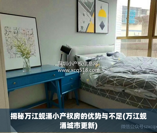 揭秘万江蚬涌小产权房的优势与不足(万江蚬涌城市更新)