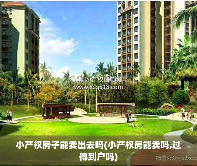 小产权房子能卖出去吗(小产权房能卖吗,过得到户吗)