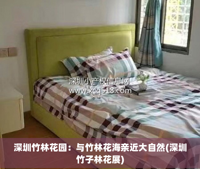 深圳竹林花园：与竹林花海亲近大自然(深圳竹子林花展)