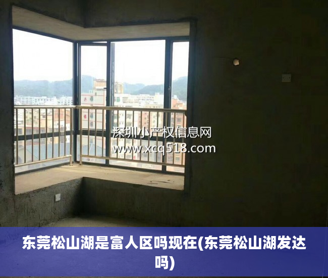 东莞松山湖是富人区吗现在(东莞松山湖发达吗)