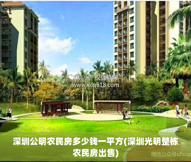 深圳公明农民房多少钱一平方(深圳光明整栋农民房出售)