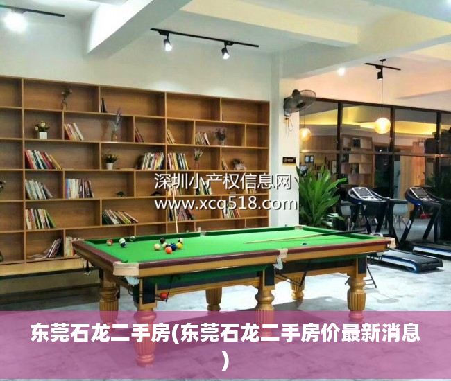东莞石龙二手房(东莞石龙二手房价最新消息)