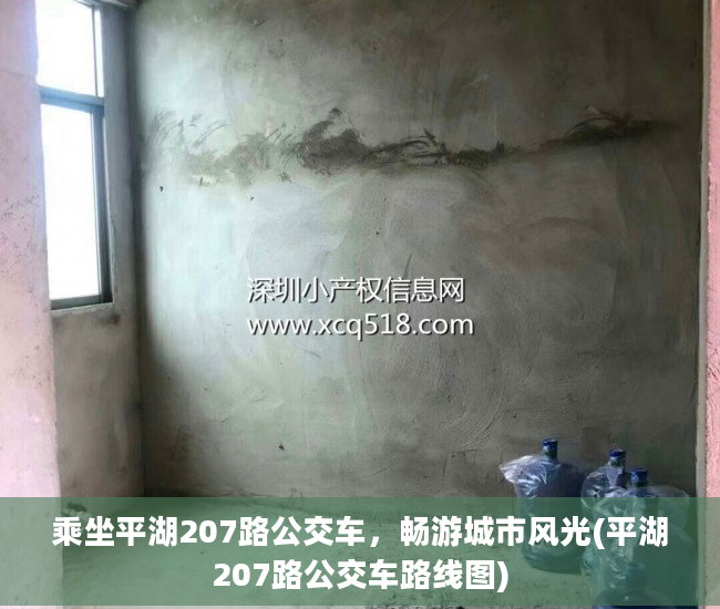 乘坐平湖207路公交车，畅游城市风光(平湖207路公交车路线图)