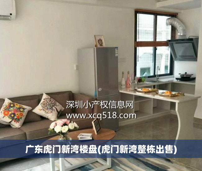 广东虎门新湾楼盘(虎门新湾整栋出售)