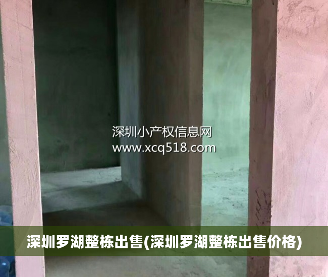 深圳罗湖整栋出售(深圳罗湖整栋出售价格)