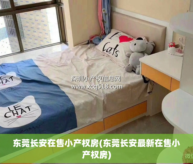 东莞长安在售小产权房(东莞长安最新在售小产权房)