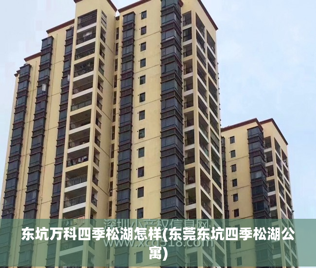 东坑万科四季松湖怎样(东莞东坑四季松湖公寓)
