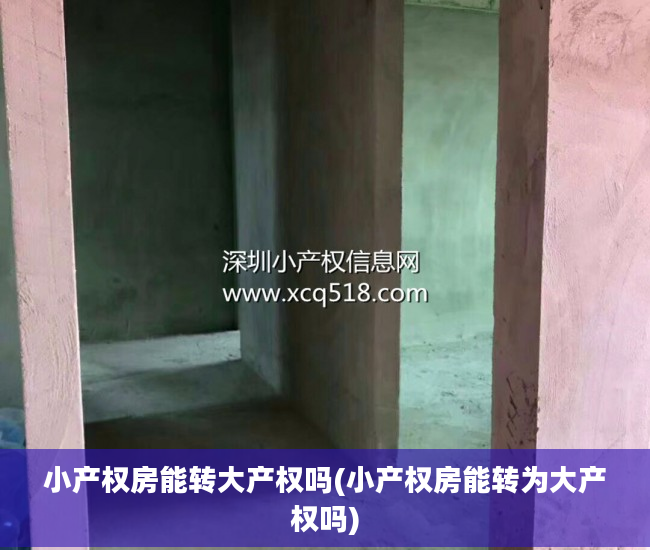 小产权房能转大产权吗(小产权房能转为大产权吗)