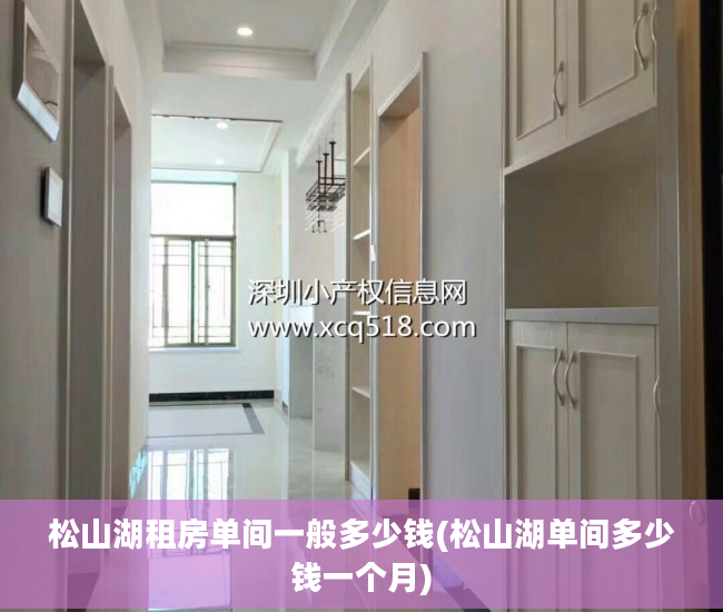 松山湖租房单间一般多少钱(松山湖单间多少钱一个月)