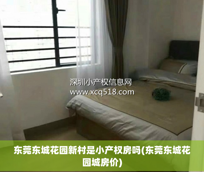 东莞东城花园新村是小产权房吗(东莞东城花园城房价)