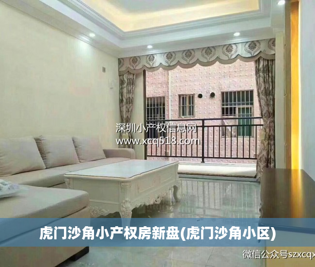 虎门沙角小产权房新盘(虎门沙角小区)
