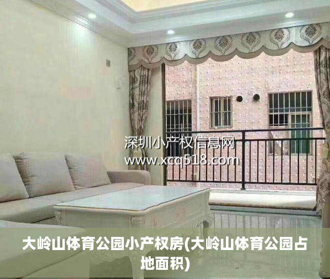大岭山体育公园小产权房(大岭山体育公园占地面积)