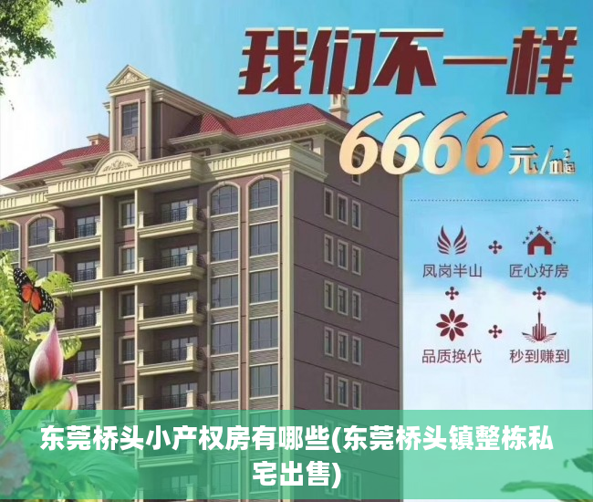 东莞桥头小产权房有哪些(东莞桥头镇整栋私宅出售)