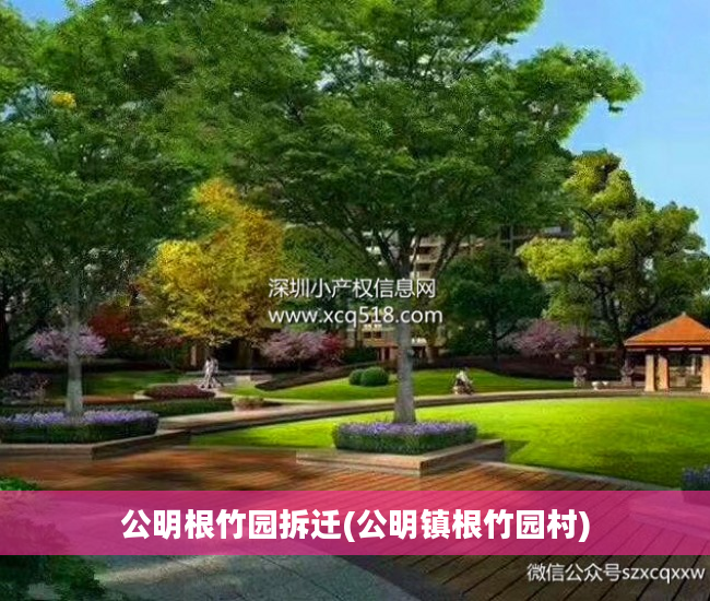 公明根竹园拆迁(公明镇根竹园村)