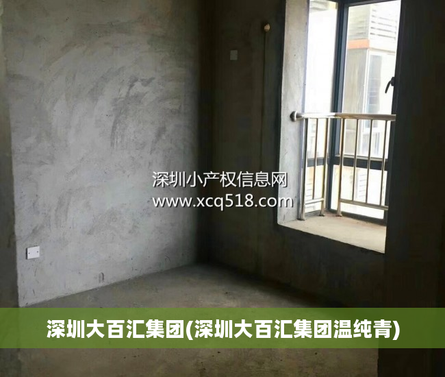 深圳大百汇集团(深圳大百汇集团温纯青)