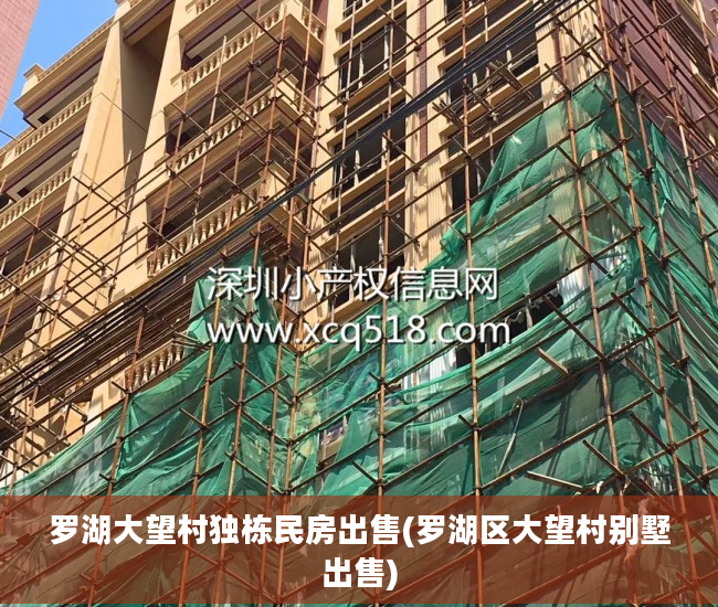 罗湖大望村独栋民房出售(罗湖区大望村别墅出售)