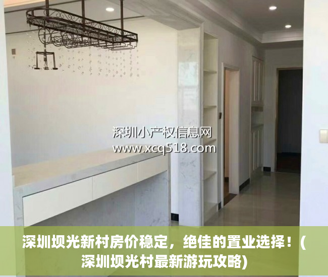 深圳坝光新村房价稳定，绝佳的置业选择！(深圳坝光村最新游玩攻略)