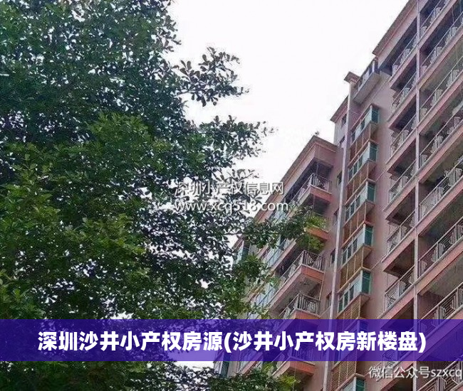 深圳沙井小产权房源(沙井小产权房新楼盘)