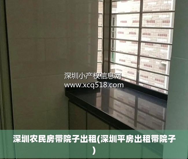 深圳农民房带院子出租(深圳平房出租带院子)