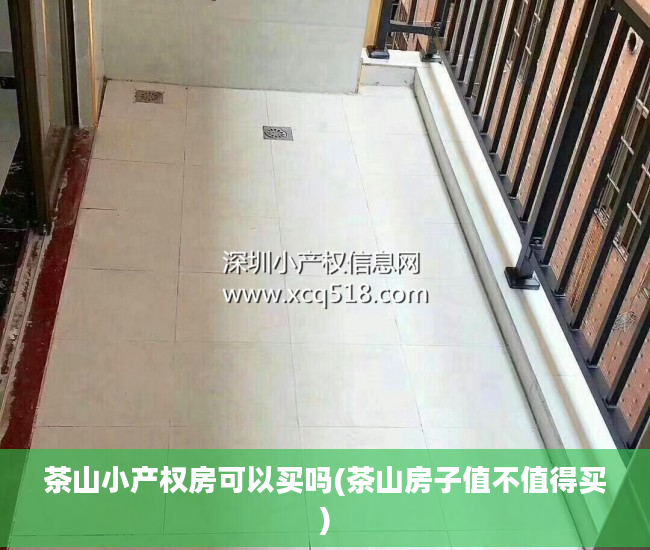 茶山小产权房可以买吗(茶山房子值不值得买)