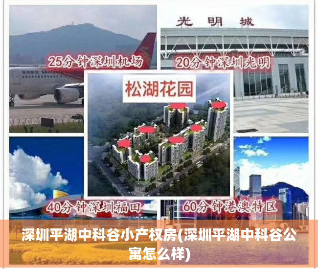 深圳平湖中科谷小产权房(深圳平湖中科谷公寓怎么样)