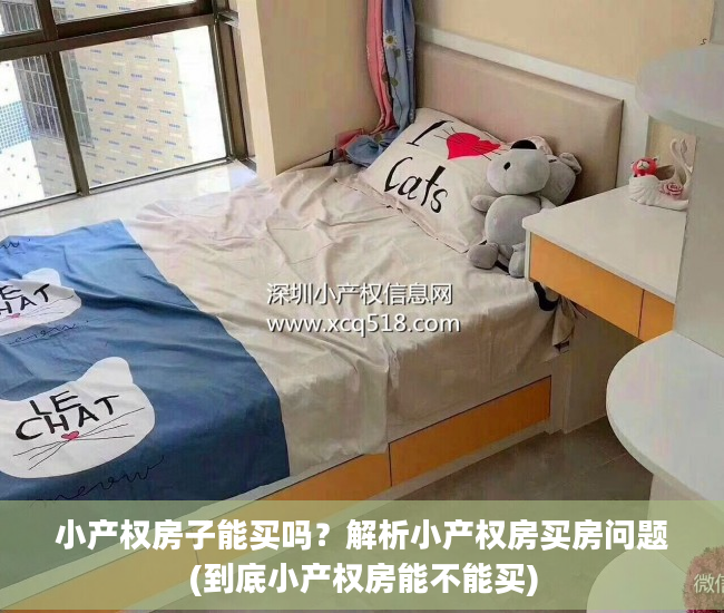 小产权房子能买吗？解析小产权房买房问题(到底小产权房能不能买)