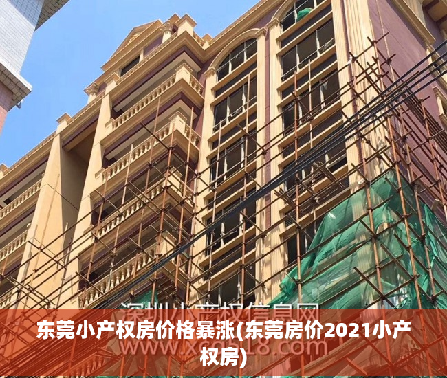 东莞小产权房价格暴涨(东莞房价2021小产权房)