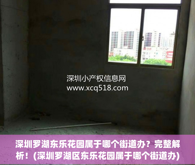 深圳罗湖东乐花园属于哪个街道办？完整解析！(深圳罗湖区东乐花园属于哪个街道办)