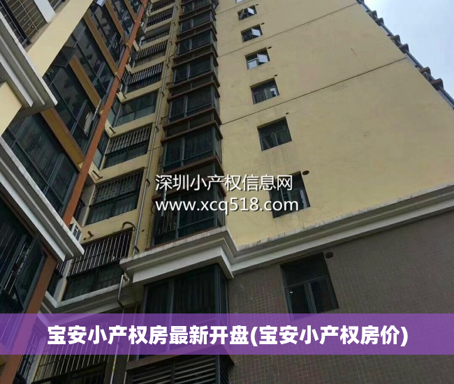 宝安小产权房最新开盘(宝安小产权房价)