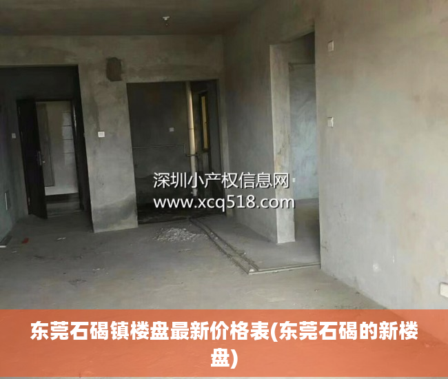 东莞石碣镇楼盘最新价格表(东莞石碣的新楼盘)