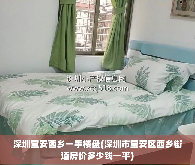 深圳宝安西乡一手楼盘(深圳市宝安区西乡街道房价多少钱一平)