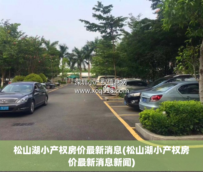 松山湖小产权房价最新消息(松山湖小产权房价最新消息新闻)